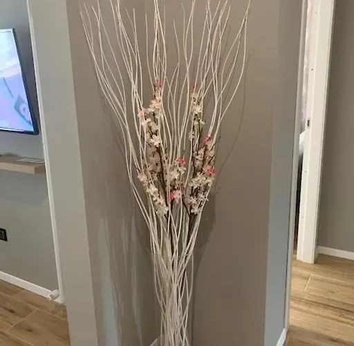 Nibu - Comodo A Tutto, Anche A Chiara Casalecchio Di Reno