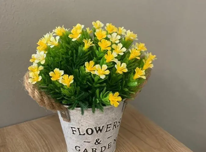 Nibu - Comodo A Tutto, Anche A Chiara Appartement