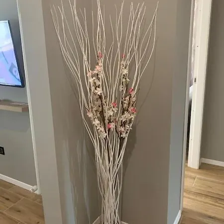 Nibu - Comodo A Tutto, Anche A Chiara Casalecchio Di Reno