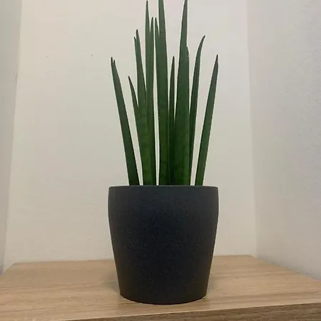 Appartement Nibu - Comodo A Tutto, Anche A Chiara