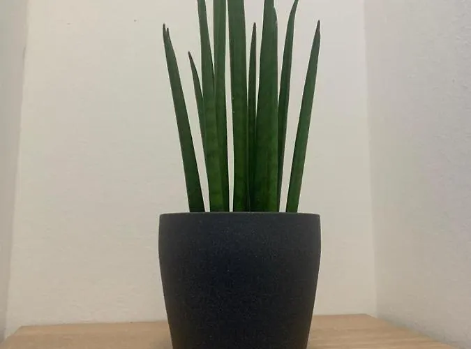 Apartment Nibu - Comodo A Tutto, Anche A Chiara